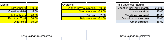 Excel Summary Template