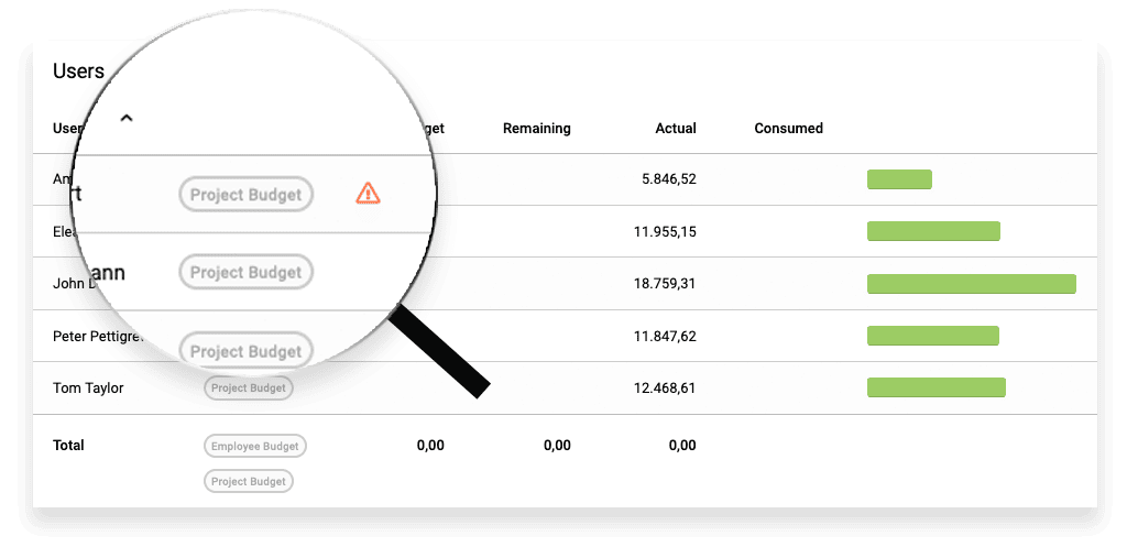 warning budget dashboard