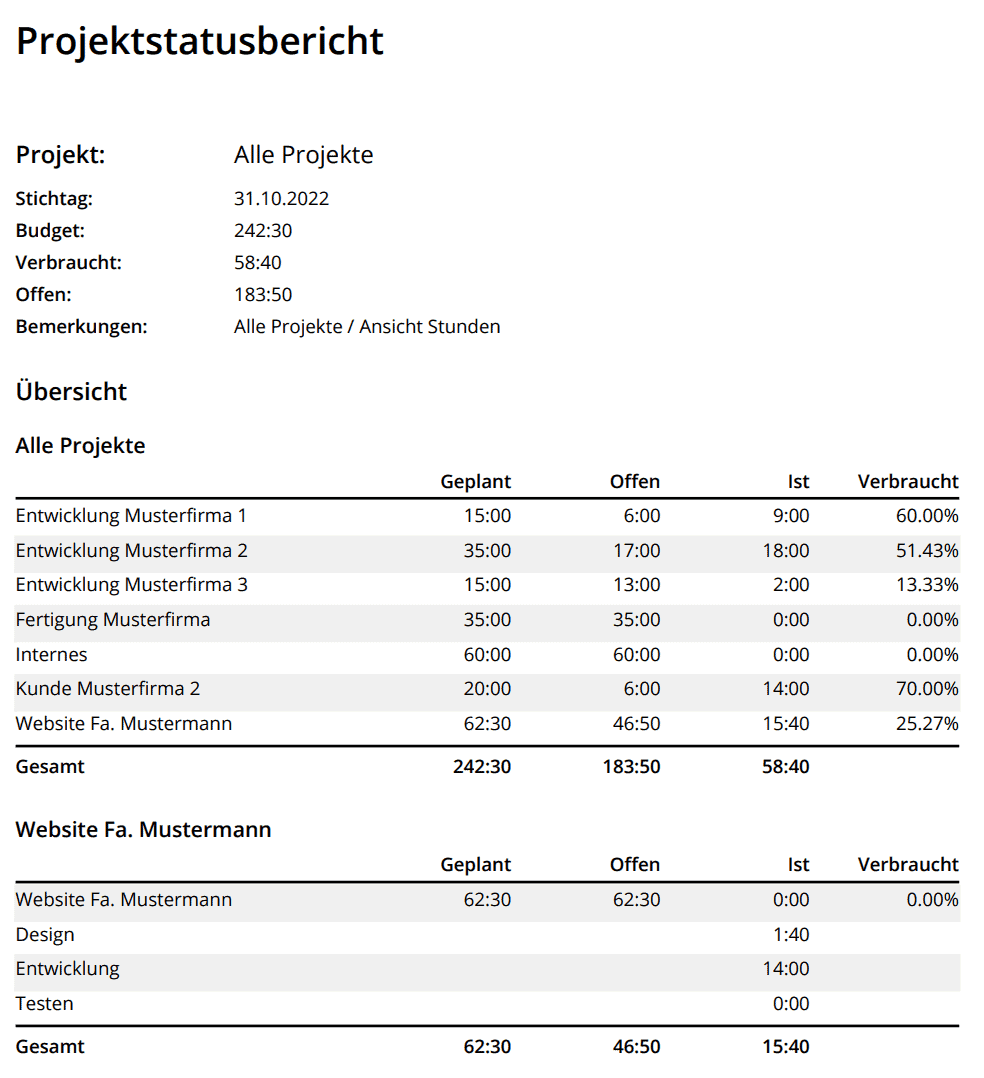 Projektstatusbericht als PDF