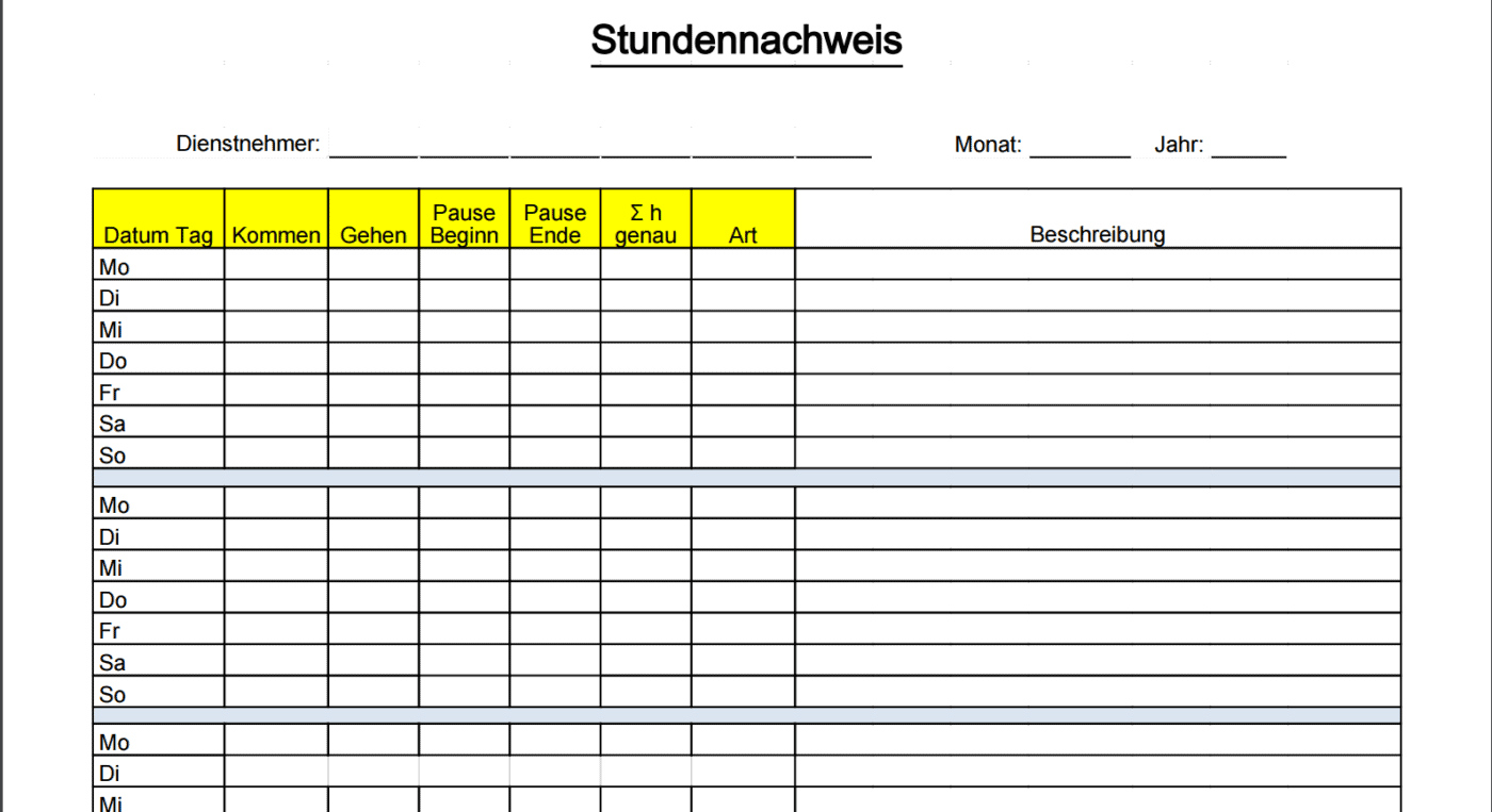 Excel Vorlage Beispiel Tagesansicht