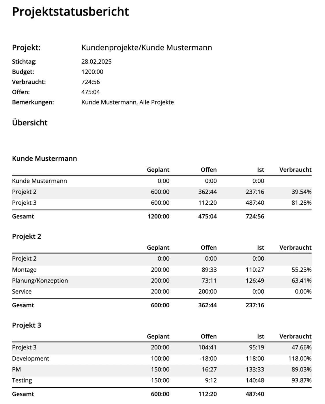 projektstatusbericht timr