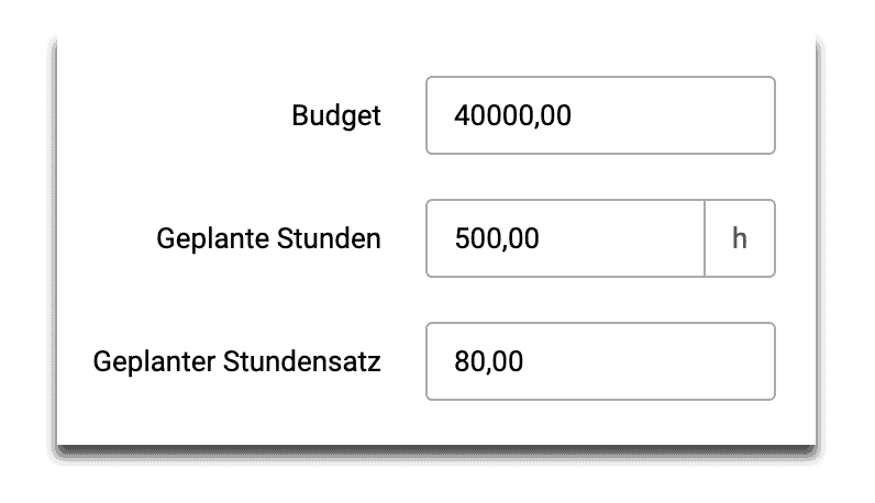 Projektbudget Planung